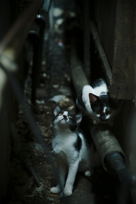 爱游戏平台-_男子单打年度追逐战：梦想成真还是遗憾落幕？_，男子单打有谁