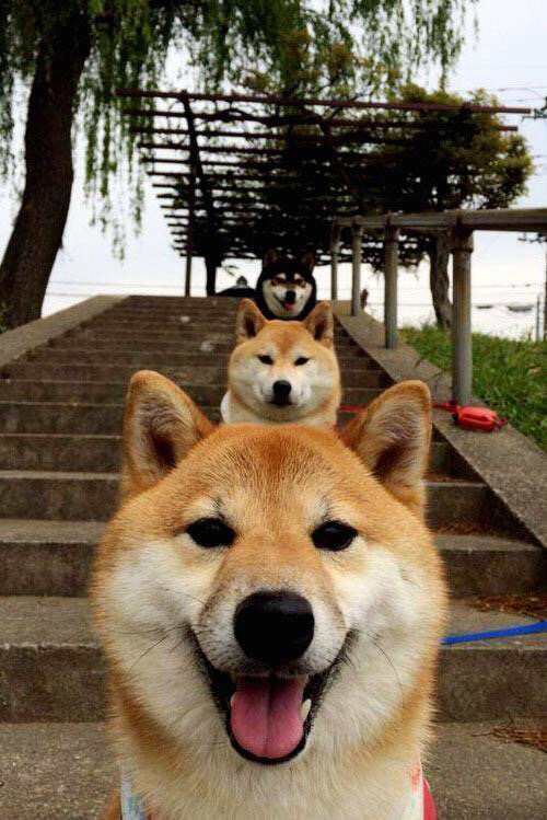 “国内外足球交流夏令营火热展开,提升竞技水平”,2021年足球夏令营