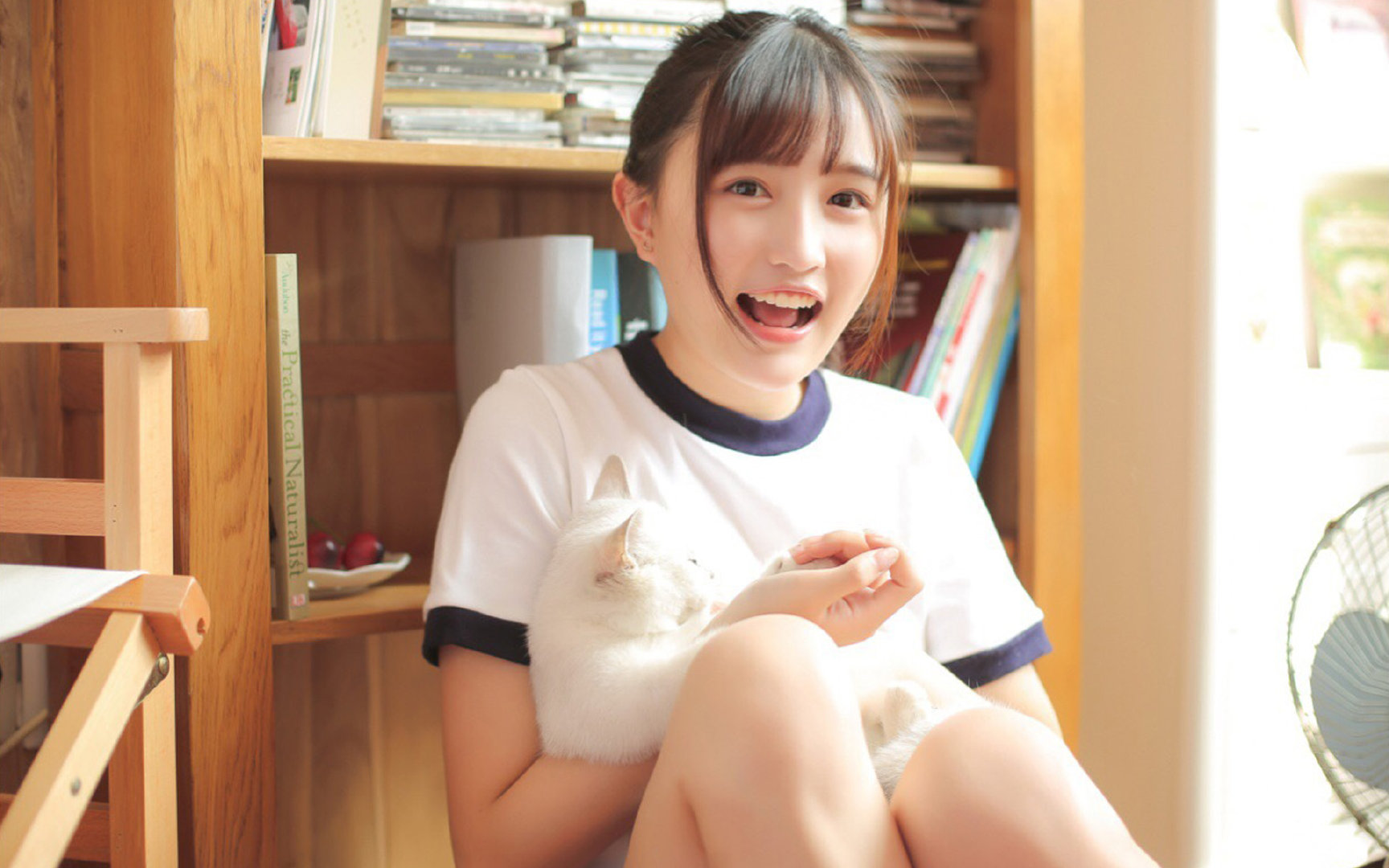 AYX体育-“国内足球比赛线路优化，交通便捷改善”，足球区赛事