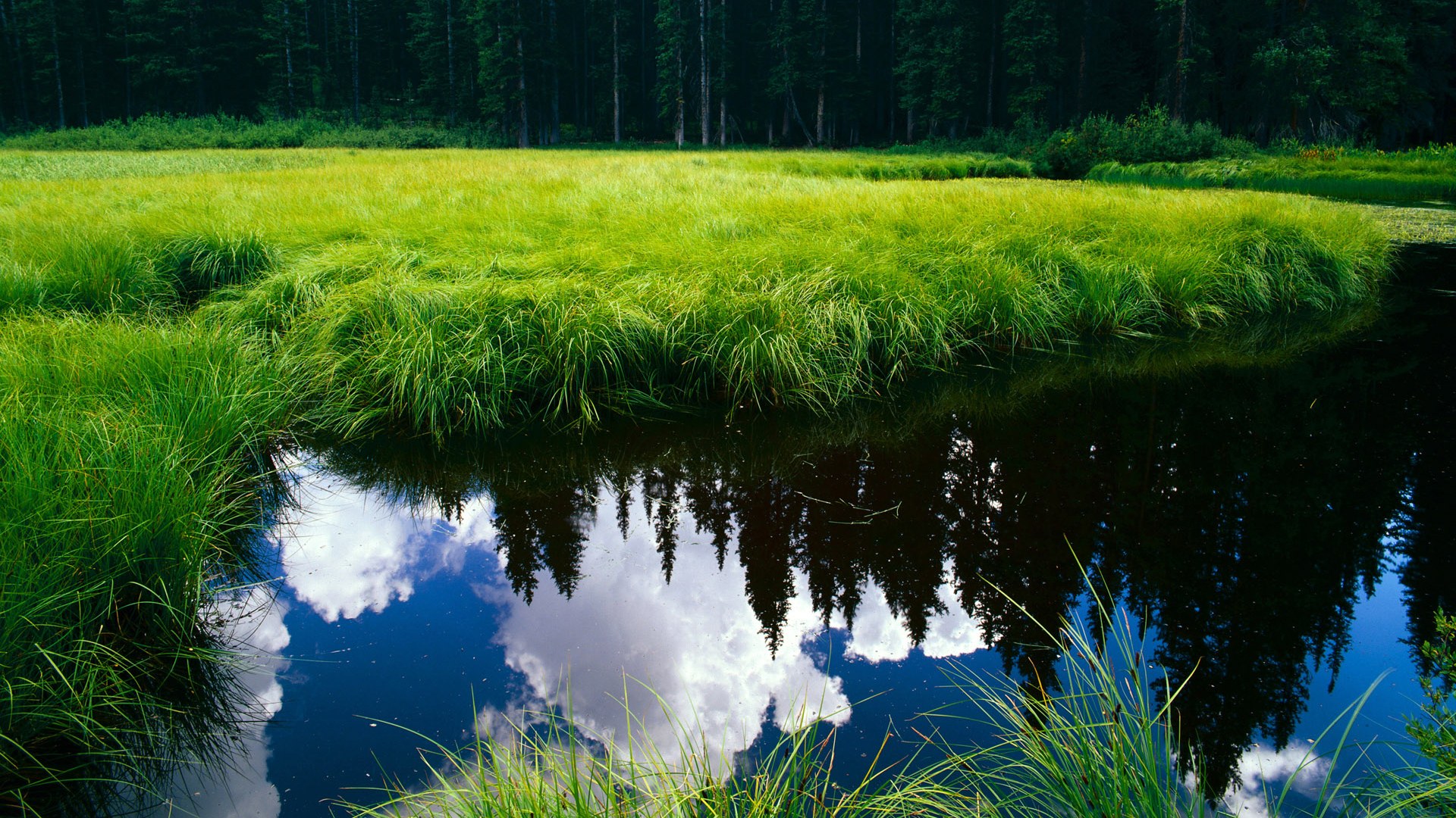 “西甲豪门再遇强敌,比赛精彩纷呈”,西甲豪门俱乐部