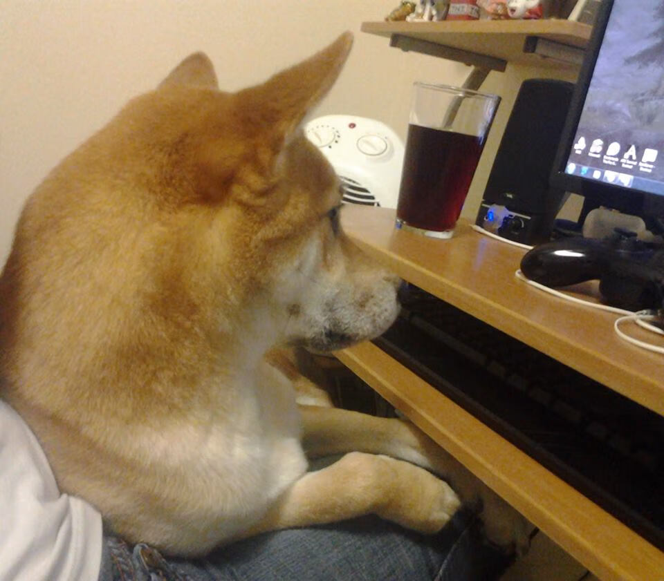 爱游戏在线娱乐官网-山地飞跃——高空绳索攀爬赛引人入胜，高空攀岩绳索上升工具用法