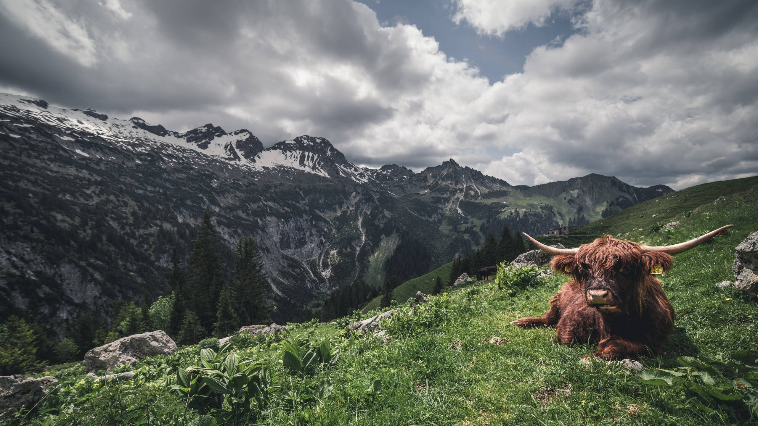 爱游戏下载-法甲明星球员状态火热，助力球队连战连捷，法甲有谁