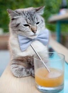 爱游戏综合娱乐-中国瑜伽品牌与国际知名品牌合作推出新产品，中国高端瑜伽连锁品牌