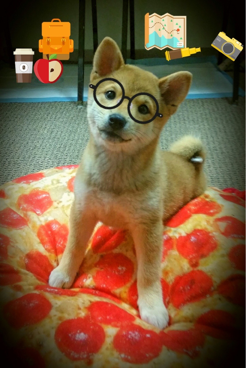 凯撒酋长计划扩建主场,提升球迷体验,凯撒indiba