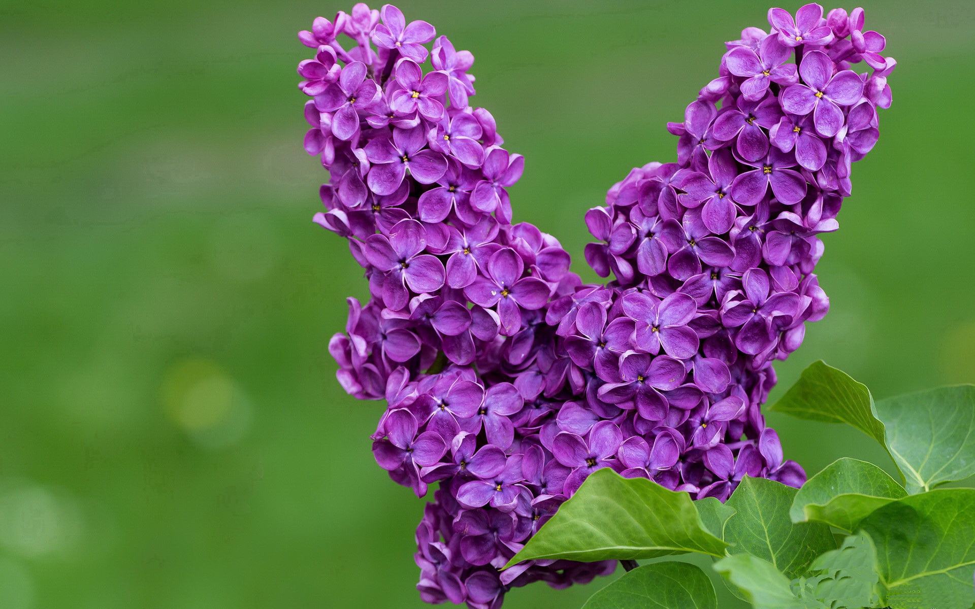 国际足坛中国力量崭露头角 成绩靓丽引全球瞩目，国际足坛最新排名