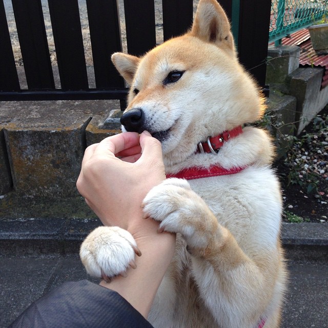 爱游戏娱乐网址-奥斯汀马刺季后赛目标明确，马刺连续22年季后赛终结