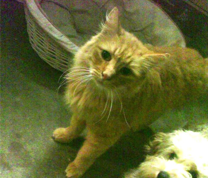 爱游戏电竞官网-球员技术精湛，将带来惊艳表现！，技术性球员