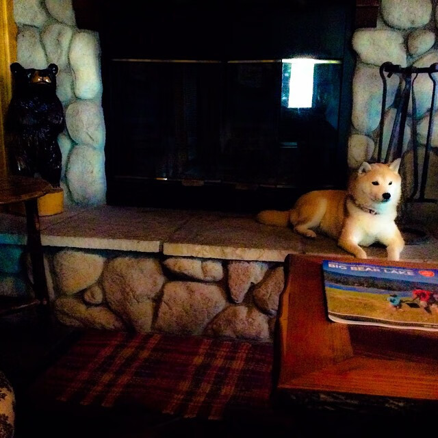 赛季间歇期是否应引入集中训练营机制,赛季间歇期是否应引入集中训练营机制