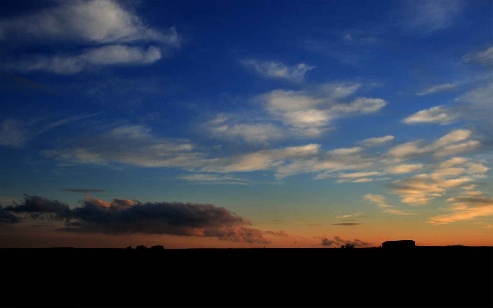 阿根廷选手沉着应对,奋力拼搏,阿根廷队员2021