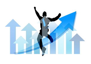 爱游戏体育-中国篮球职业俱乐部财务风险管理实践，篮球俱乐部经营与管理