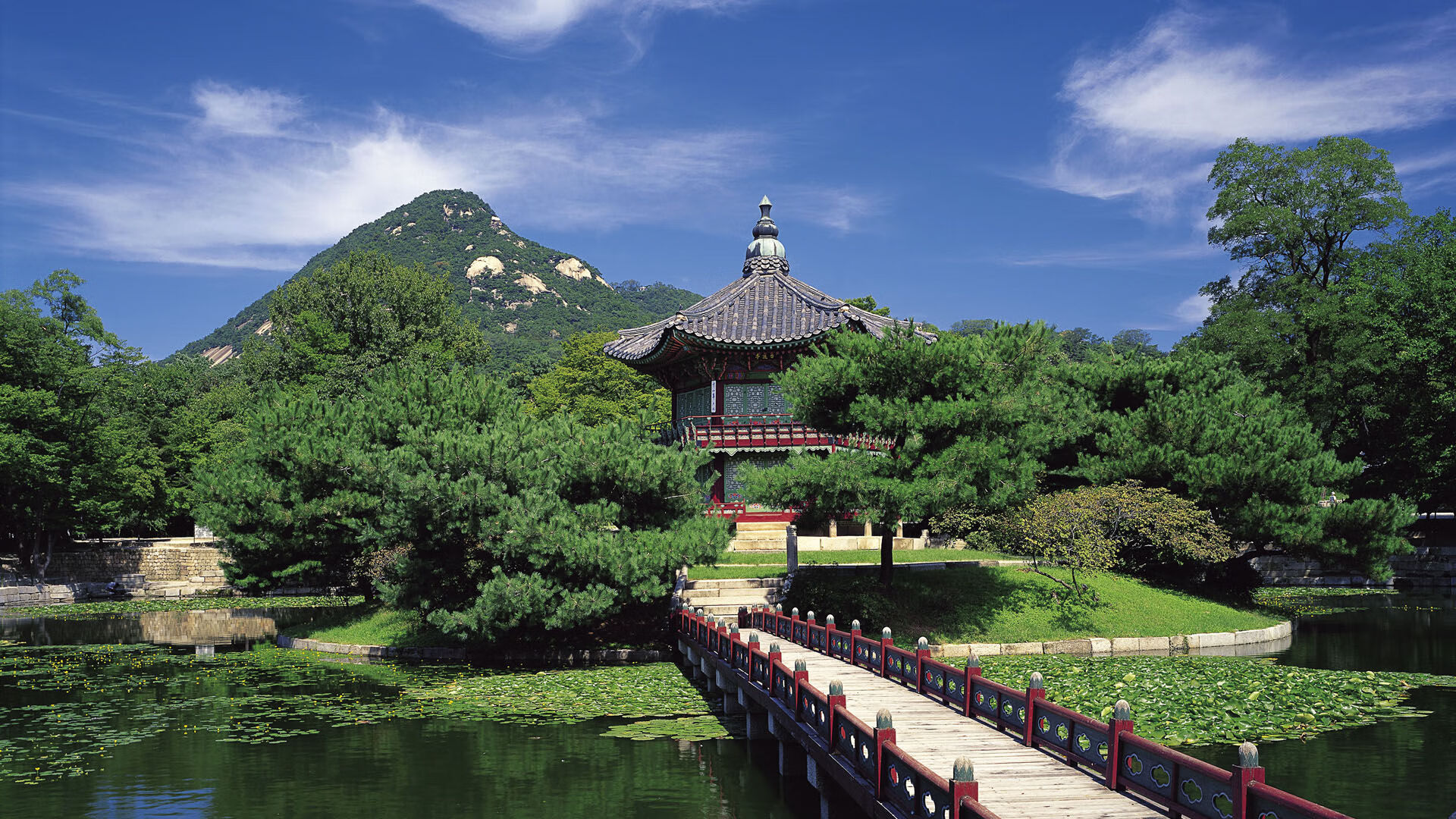 中国篮球职业俱乐部财务风险管理实践，篮球俱乐部经营与管理