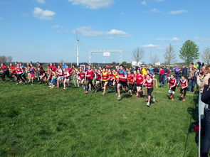 爱游戏在线登录入口-全国青少年劳动体育竞赛各项赛事激烈进行，全国青少年劳动体育竞赛各项赛事激烈进行的原因