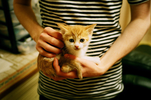 国足中前场协同评分系统架构设计，足球中前场