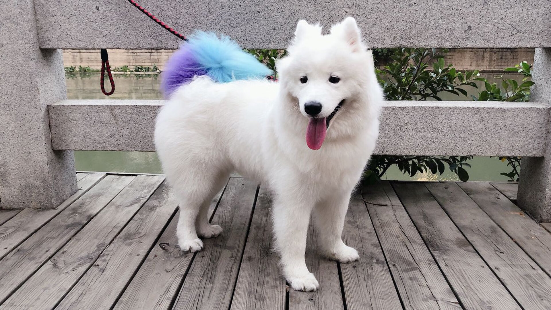 爱游戏app下载-法甲赛季中期球员伤病风险评估及预防机制研究，法甲阵容排行榜