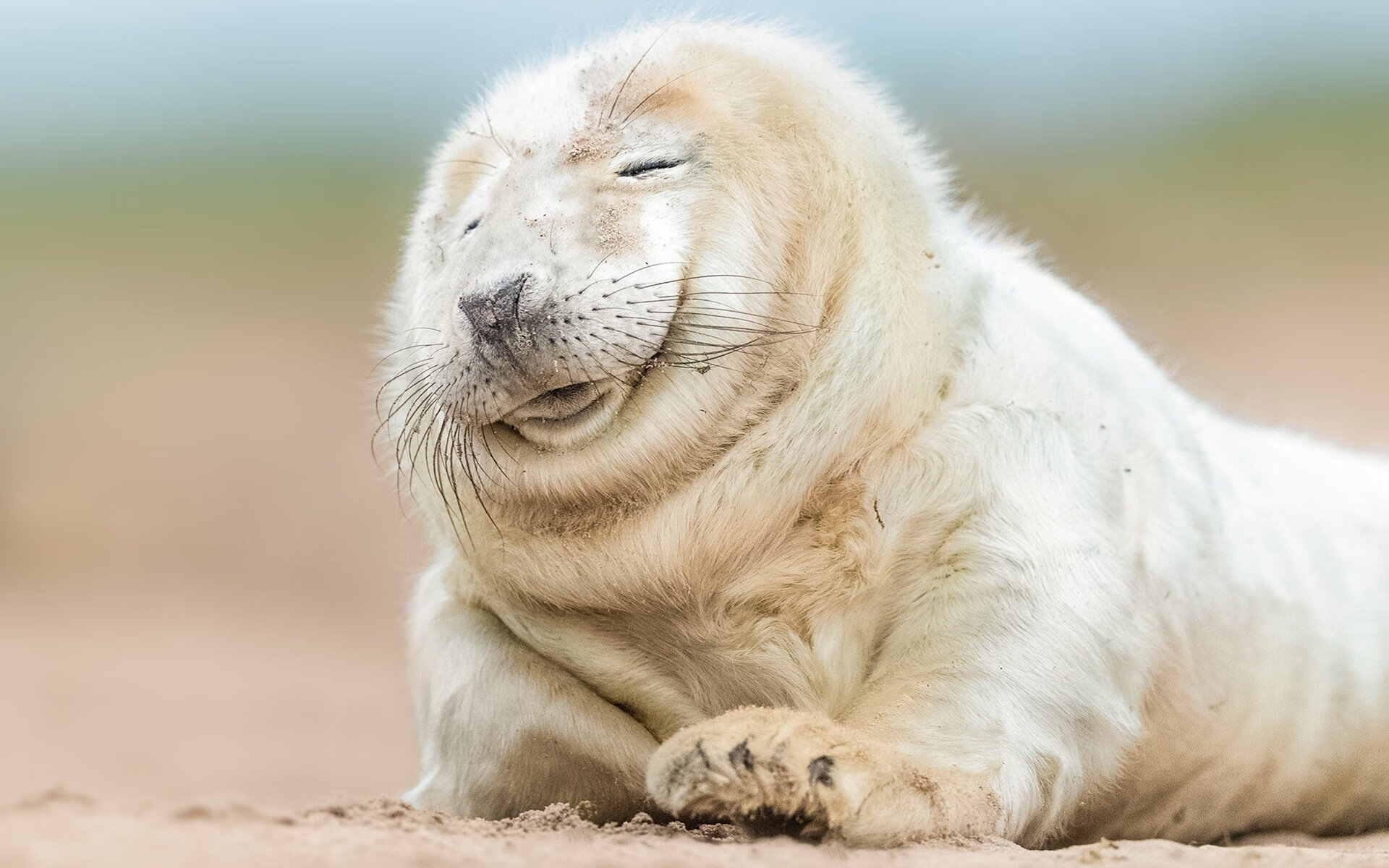 爱游戏体育APP下载-俱乐部管理层缺少现代职业经理人结构，俱乐部管理人员架构