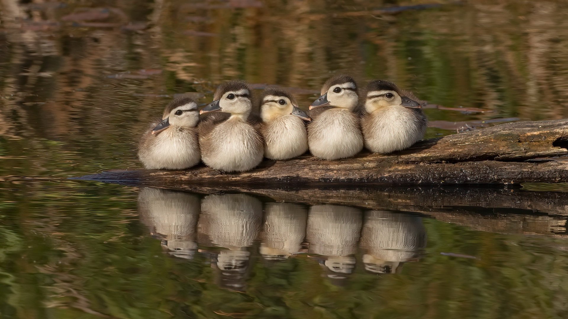 爱游戏 电竞-团队技战术配合初见成果，团队成员在技术和技能上形成互补