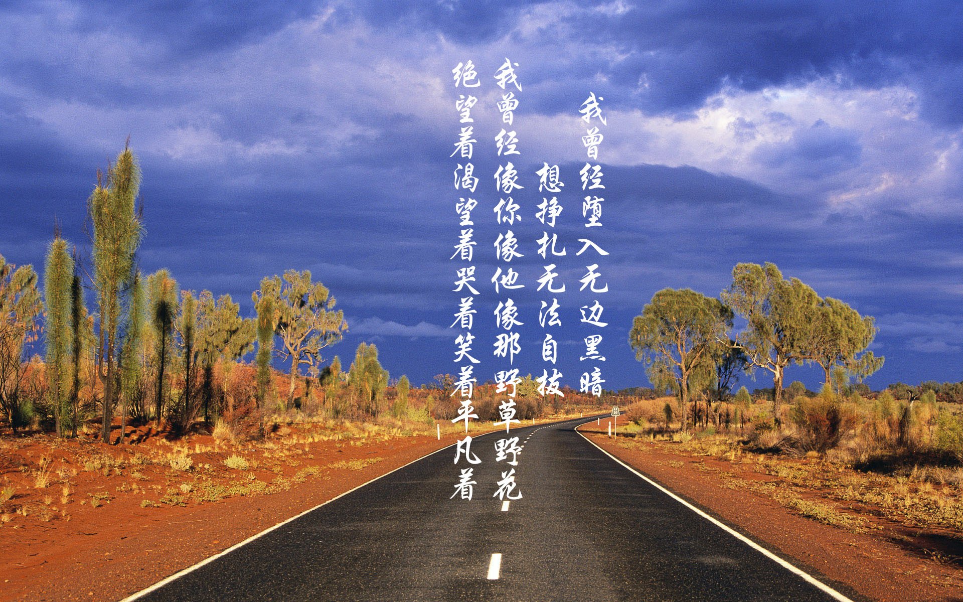 职业联赛传播渠道是否跟上新媒体节奏,职业联赛是谁举办的