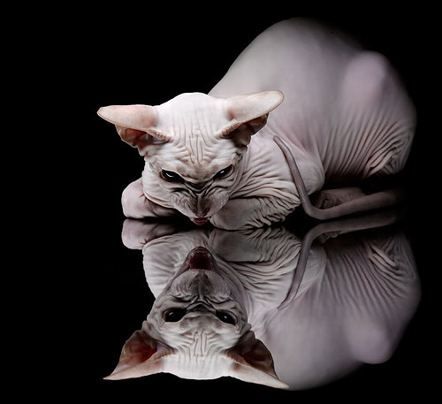 城市三人篮球联赛吸引上百支队伍参与打造街头篮球氛围，三人篮球赛场地规则